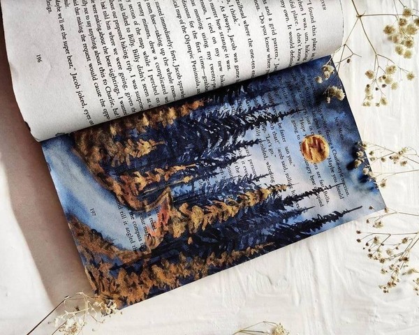 Мастер-класс «Рисунок в книге»