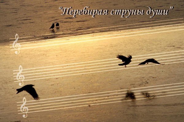 «Перебирая струны души»