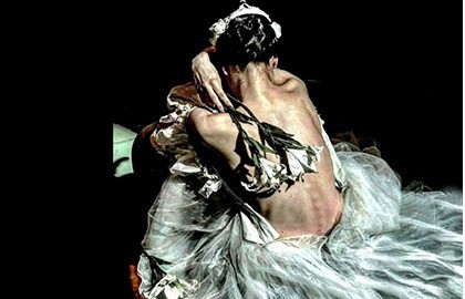 Лето пируэта. Лебединое озеро