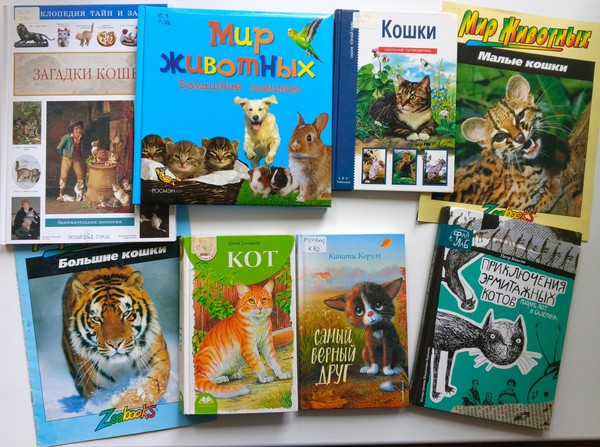 «Всем Мяу!» – кототест