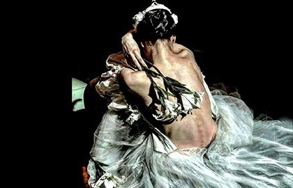 Лето пируэта. Жизель