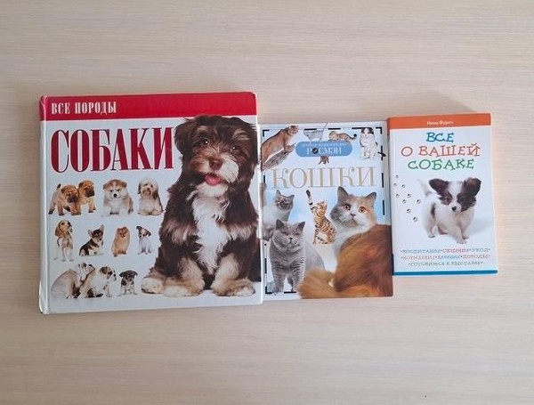 Лекция «Помощь бездомным животным»