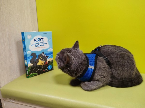 Просветительская акция «Котодень в библиотеке»