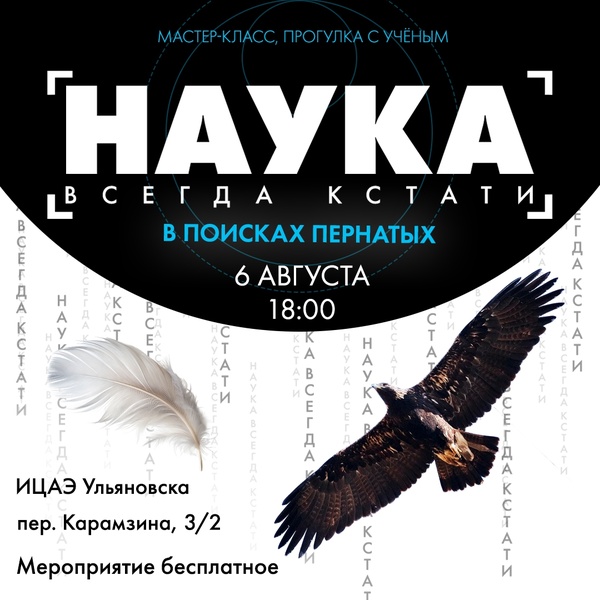 Наука всегда кстати: в поисках пернатых