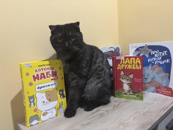 Урок-игра «Котомания»