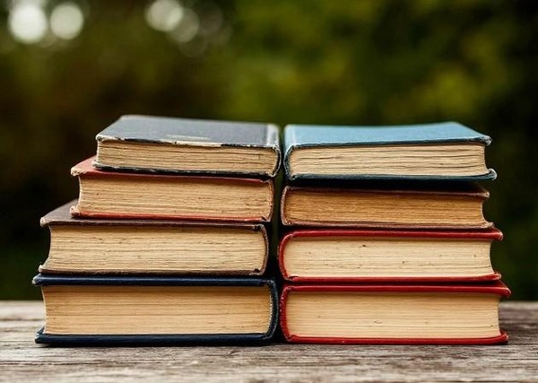 Литературная игра «Книги лучшие друзья!»
