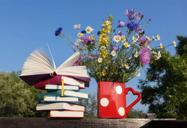 Моя любимая книга