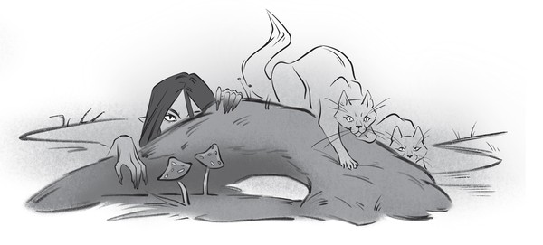 Кошачий квиз