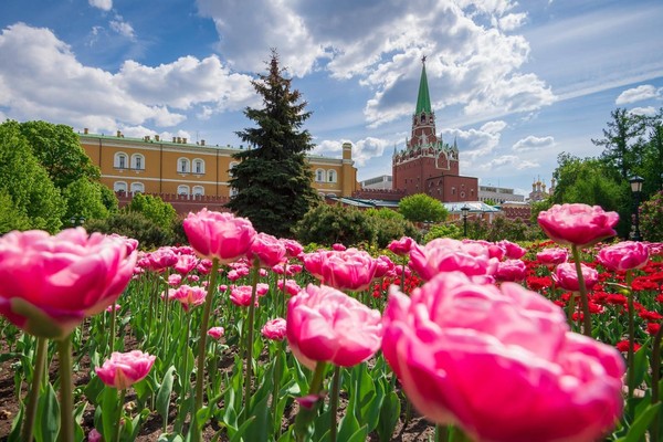 Лекционная программа «Александровский сад: сегодня и вчера»