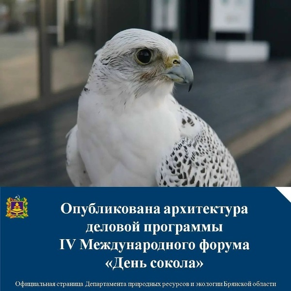 IV Международный форум «День сокола»