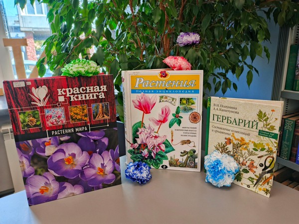 Мастер-класс «Цветов осенняя палитра»