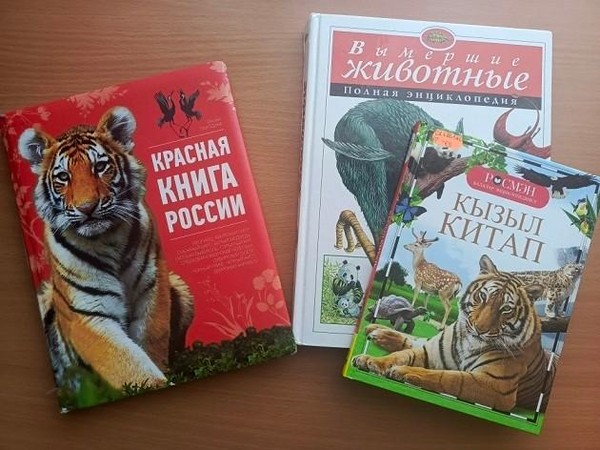 Устный журнал «Путешествие по Красной книге»