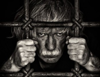 Выставка Тимофея Храмова