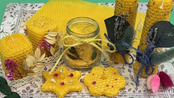 Мастер-класс «Соты в твоих руках»