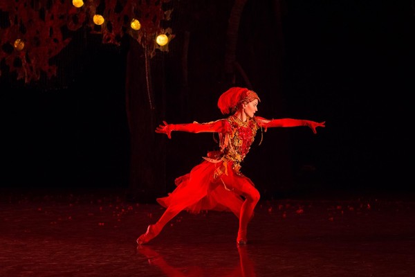 Балетная программа «Вечер балета. Жар-птица»