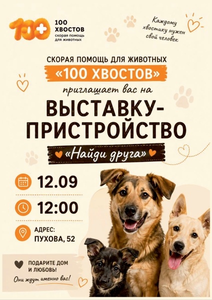 Выставка-пристройство друзей наших меньших