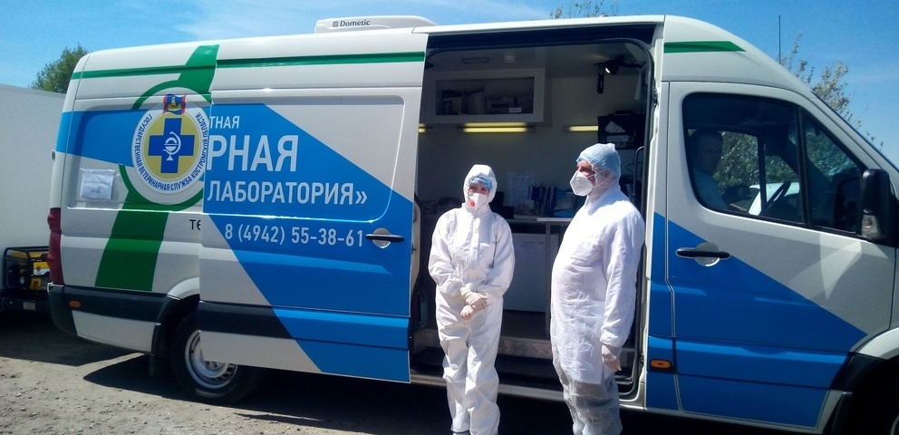 День бесплатной вакцинации домашних животных в Костромской области