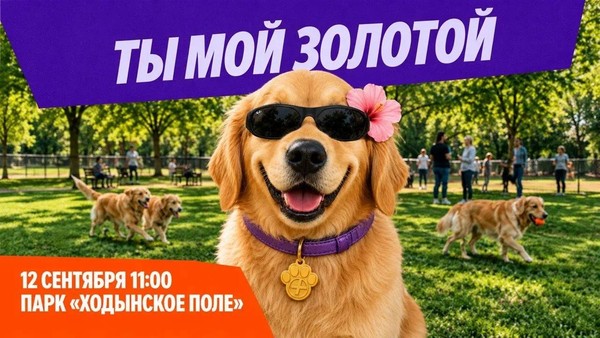 «Ты мой золотой»: в парке «Ходынское поле» состоится встреча золотистых ретриверов
