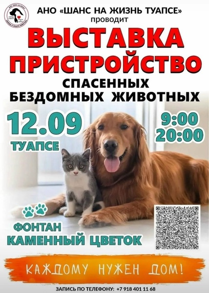 Выставка-пристройство спасённых животных