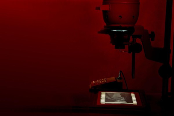 Выставка аналоговой фотографии «8»