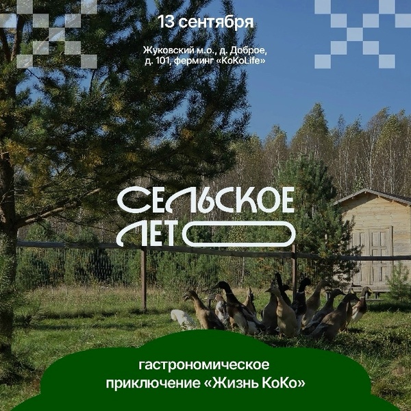 Жизнь КоКо