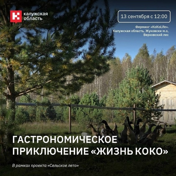 Семейный день «Жизнь КоКо»
