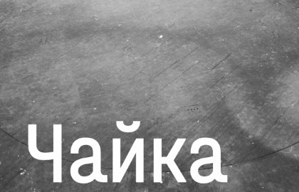 Чайка