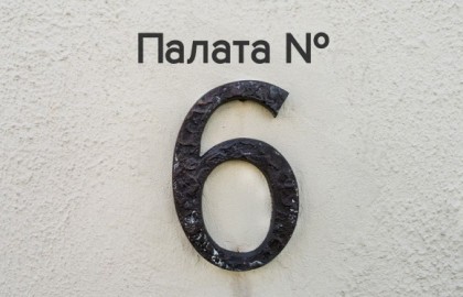 Дарья Циберкина