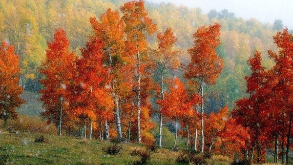 Фольклорный праздник «Вот она какая наша Осень»