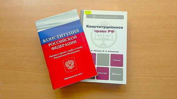 Правовая игра «Если б я был депутатом»