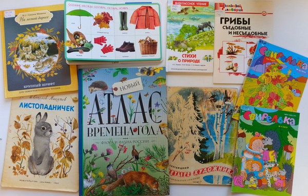 «Осеннее лукошко» познавательно–игровая программа