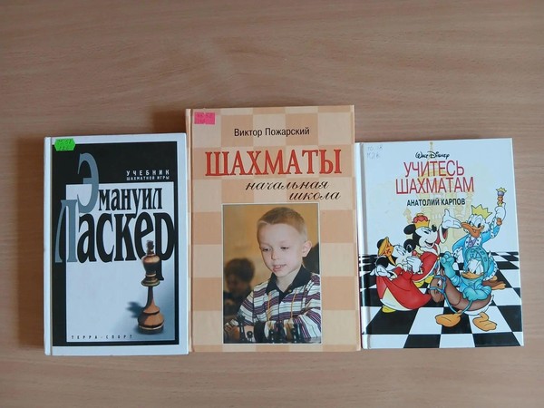 Тематический час «Страна деревянных бойцов»