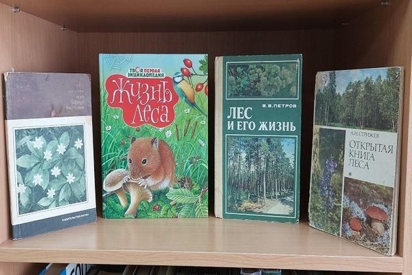 Познавательный час «Русский лес – край чудес»