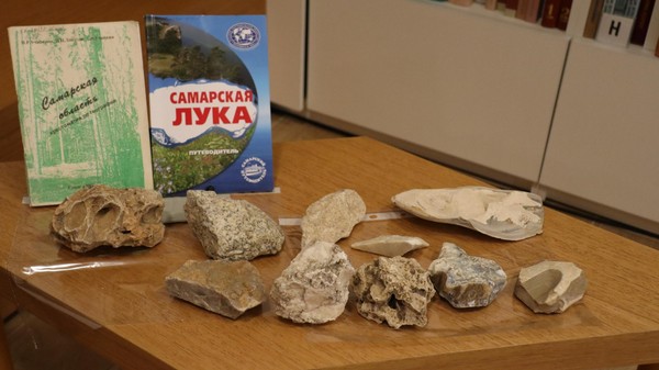 Краеведческое занятие «Самарская лука: природа, история, легенды»