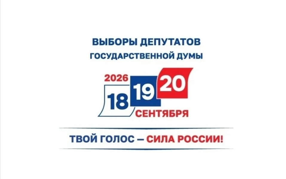 Выборы депутатов Государственной Думы IX созыва