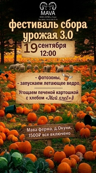 Фестиваль сбора урожая