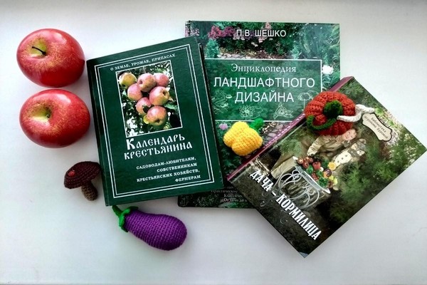 Тематическая встреча «Дачи и дачники»