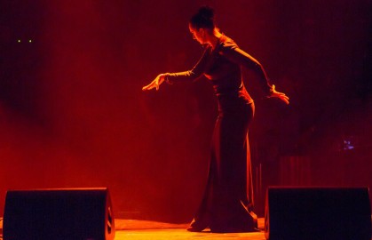 Елена Ваенга