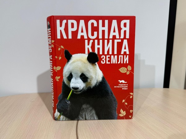 Игра-путешествие «В гостях у Красной книги»