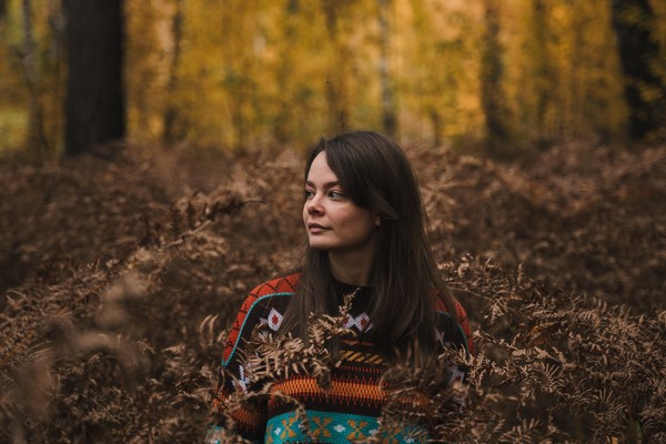 Медиация. Окно, открытое Поздеевым