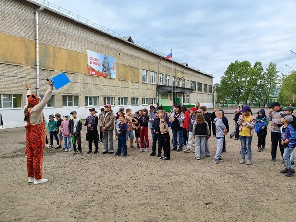 Программа «День зеленой жизни»