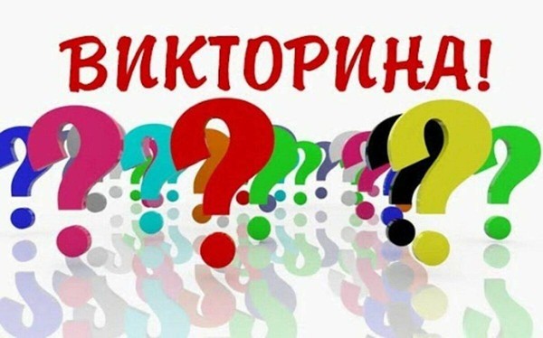Викторина «Ай да планы»