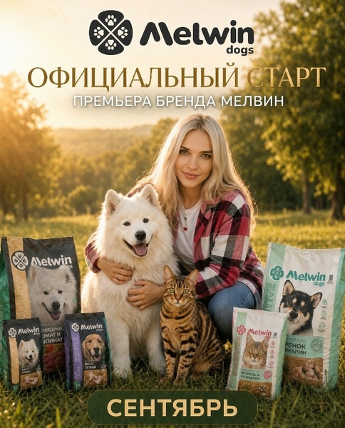 ДОГ РЕСПЕКТ + СОБАКА-ЗОЛОТО