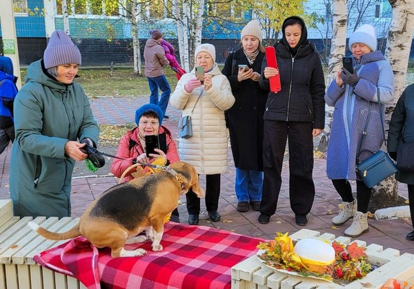 Встреча любителей мобильной фотографии «Мобилограф»