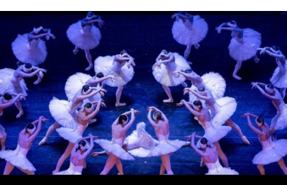 Лебединое озеро