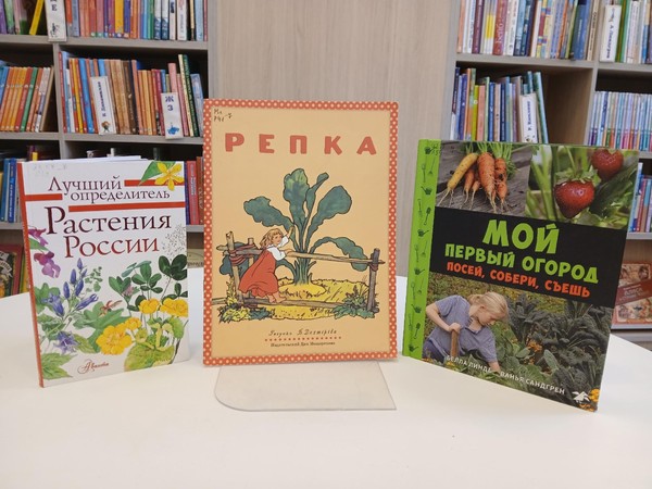 Проще пареной репы