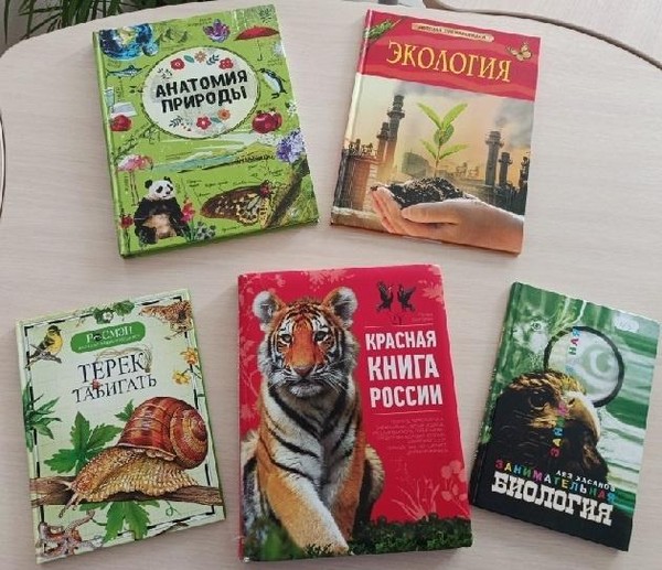 Экологический час «Зеленое чудо Земля»