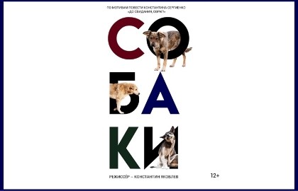 Собаки