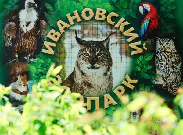 Неделя пожилого человека в зоопарке