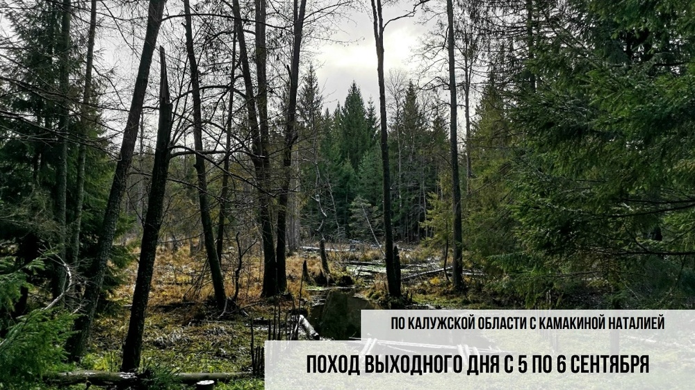 Поход выходного дня по Калужской области «Ахлебинино-Гремячево»